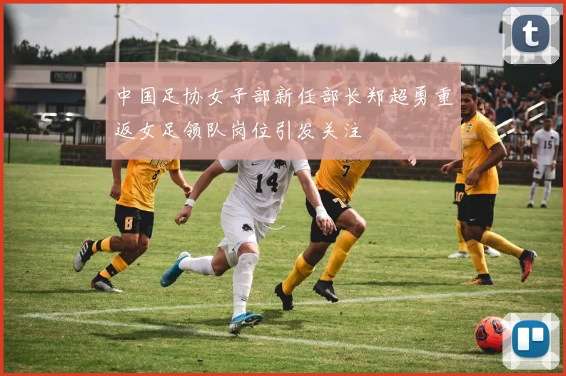 中国足协女子部新任部长郑超勇重返女足领队岗位引发关注