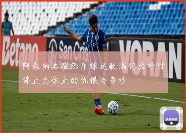 阿森纳名宿怒斥球迷肤浅行为呼吁停止无休止的仇恨与争吵